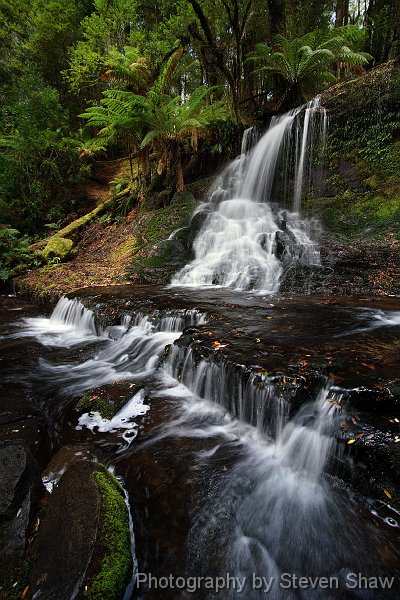 Horseshoe Falls 2 Horseshoe Falls, Mt Field NP, Tasmania